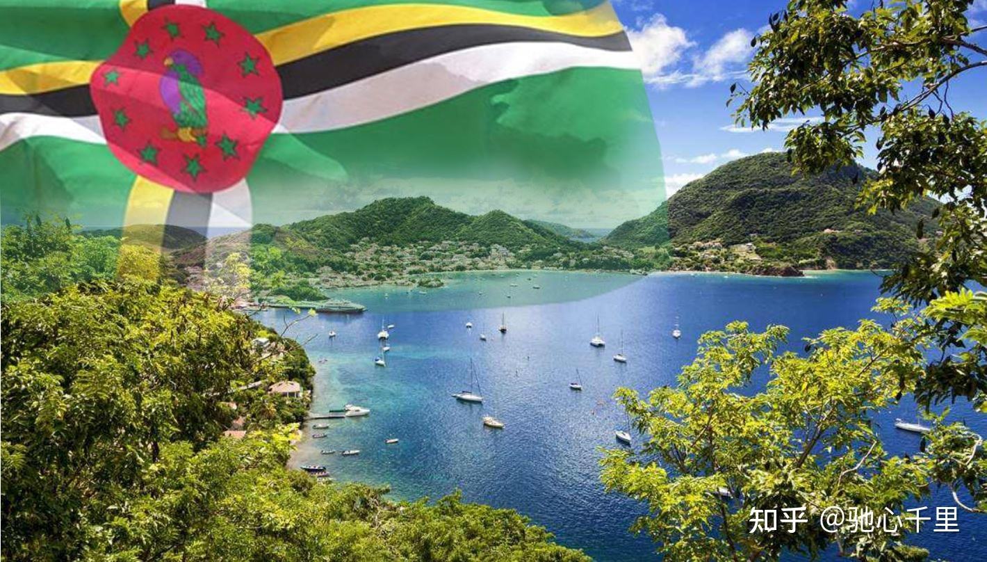 多米尼克福利 (1).jpg